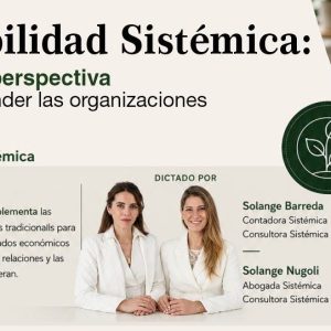 [16/10] Contabilidad Sistémica: una nueva perspectiva para comprender las organizaciones